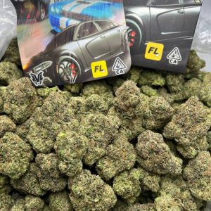 import placeholder for 1498