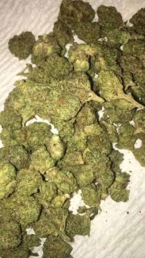 ACDC-Strain