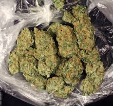 AK-47-strain AK-47-strain