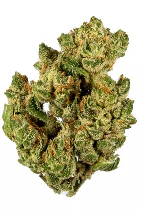 Jack The Ripper Jack The Ripper