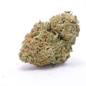 Blueberry Widow Blueberry Widow