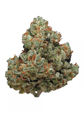 Chemdawg Strain
