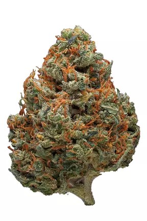 Durban Poison Strain Durban Poison Strain