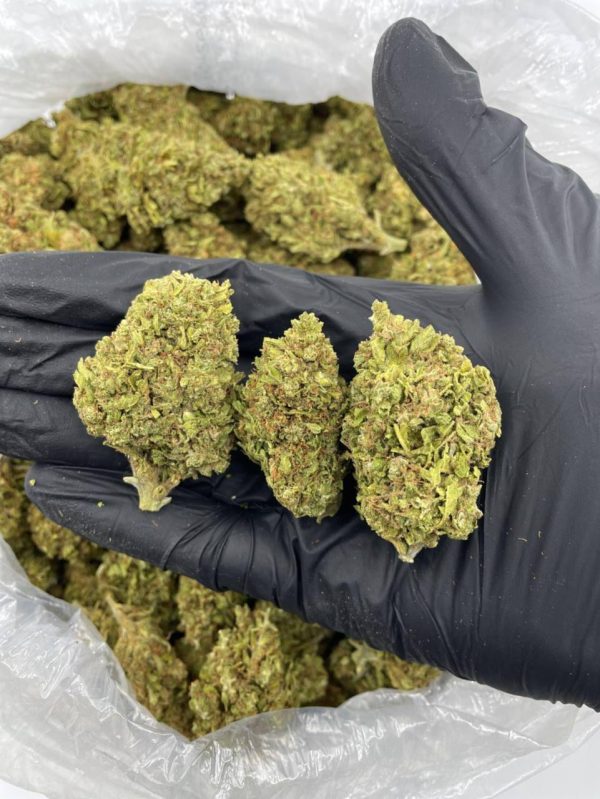Ghost Train Haze Ghost Train Haze