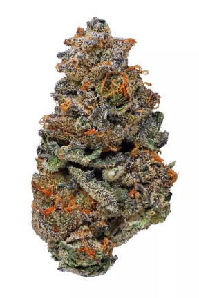 Forbidden Fruit Strain
