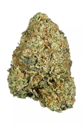 OG Kush