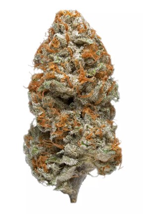 Point Break Strain