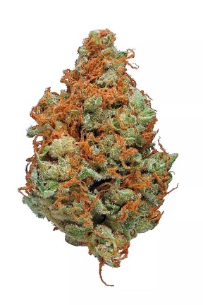 Strawberry Cough Strawberry Cough